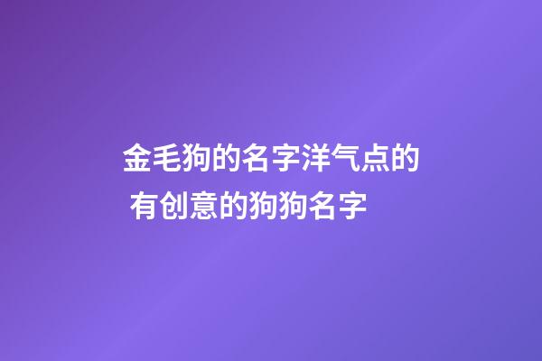 金毛狗的名字洋气点的 有创意的狗狗名字